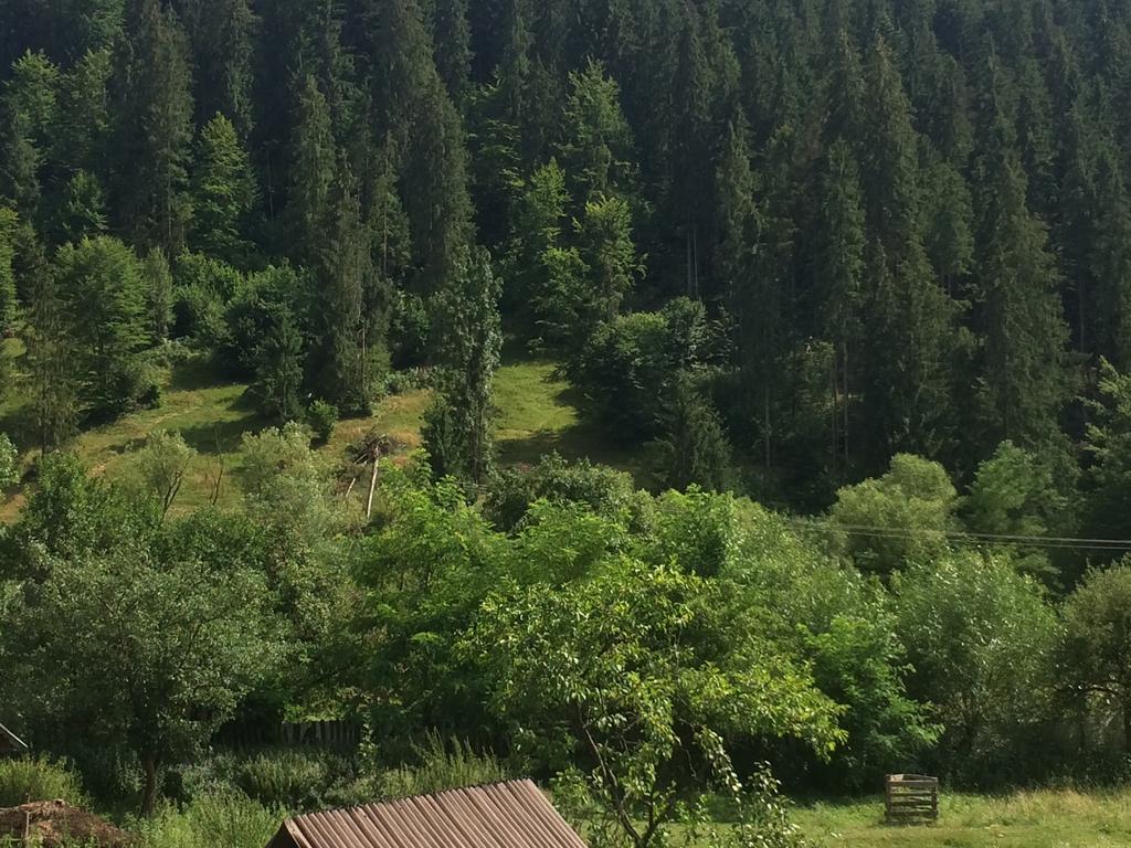 Готель Casa De Vacanta Joldes Ґирда-де-Сус Номер фото