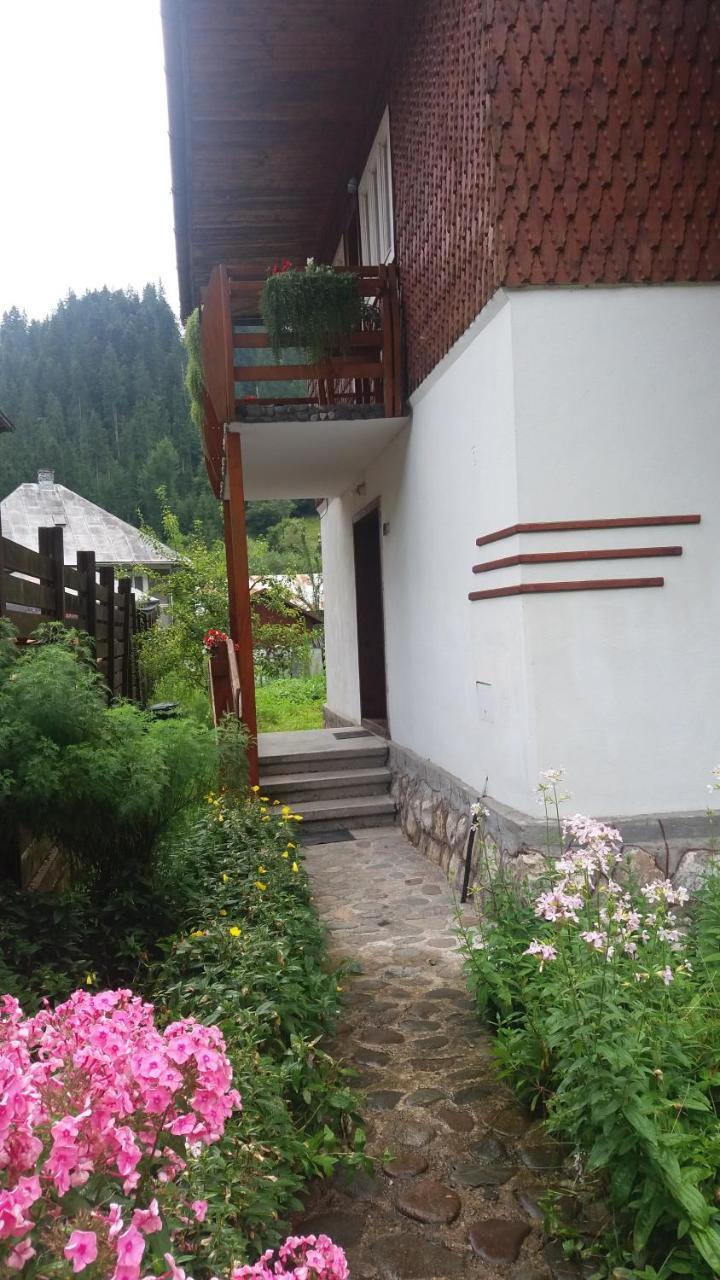 Готель Casa De Vacanta Joldes Ґирда-де-Сус Екстер'єр фото