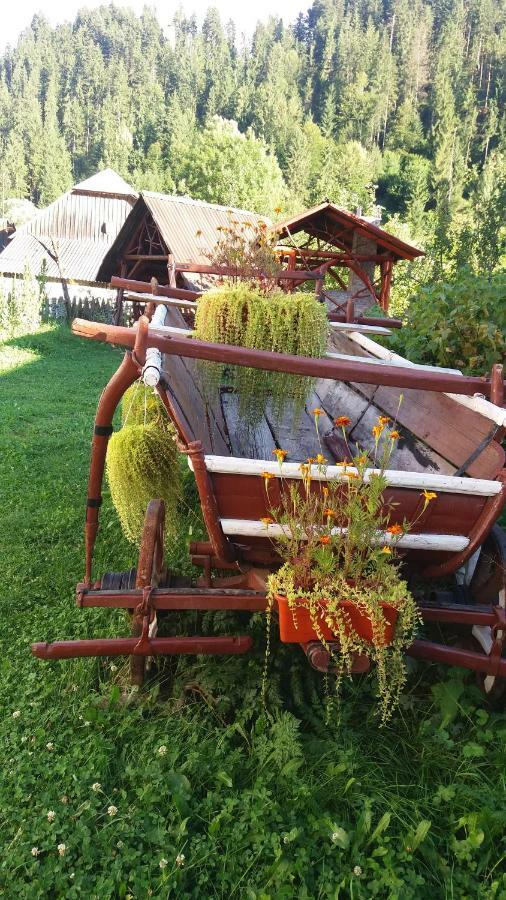 Готель Casa De Vacanta Joldes Ґирда-де-Сус Екстер'єр фото